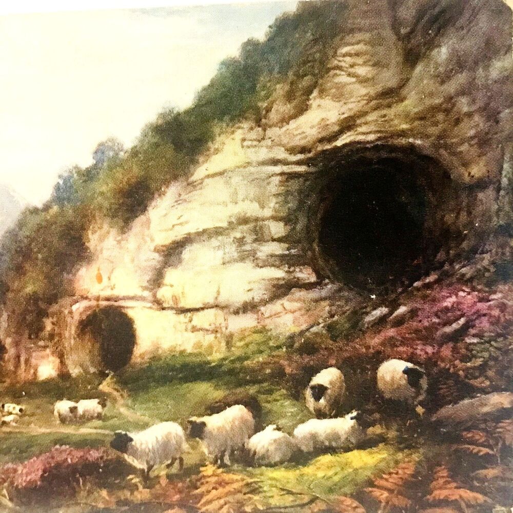 Tucks Postcard Oilette Dove Holes Dovedale George V Stamp 1906 Posted Sheep Cave